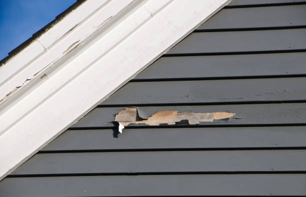 Affordable siding repair and maintenance services in Lexington, MO